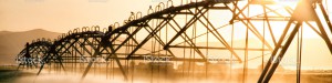Industries We Serve